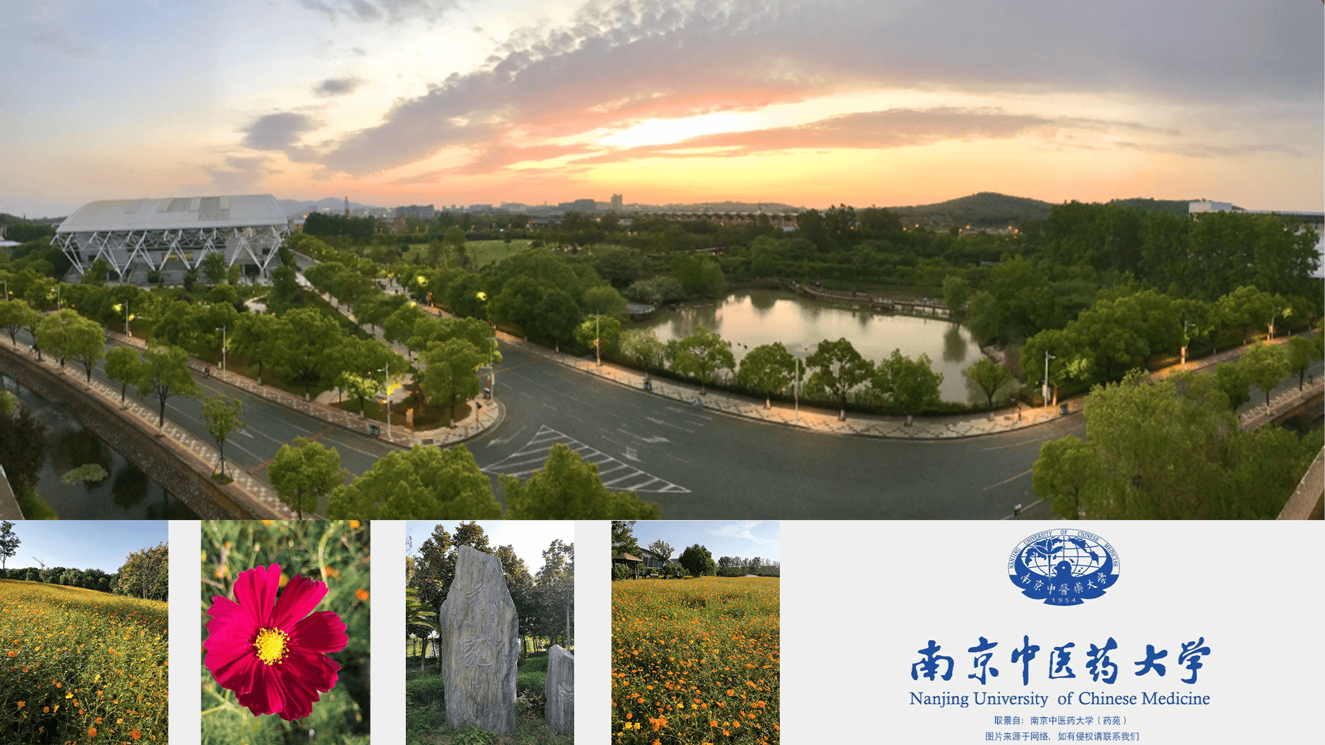 VISSONIC-Nanjing University of Chinese Medicine(图5)